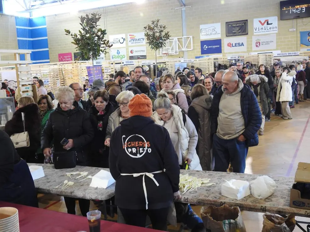 WhatsApp Image 2025-11-30 at 16.43.43 copia 2