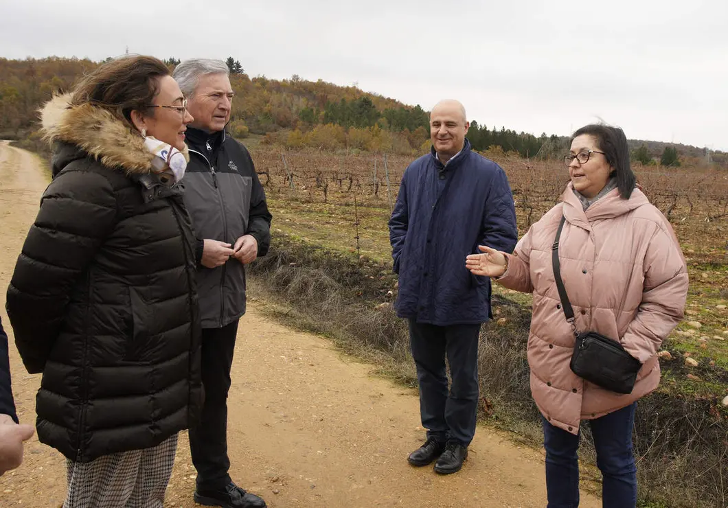 La consejera de Agricultura, Ganadería y Desarrollo Rural, María González Corral, durante su visita a las obras de la infraestructura rural de la concentración parcelaria de Castropodame (León)