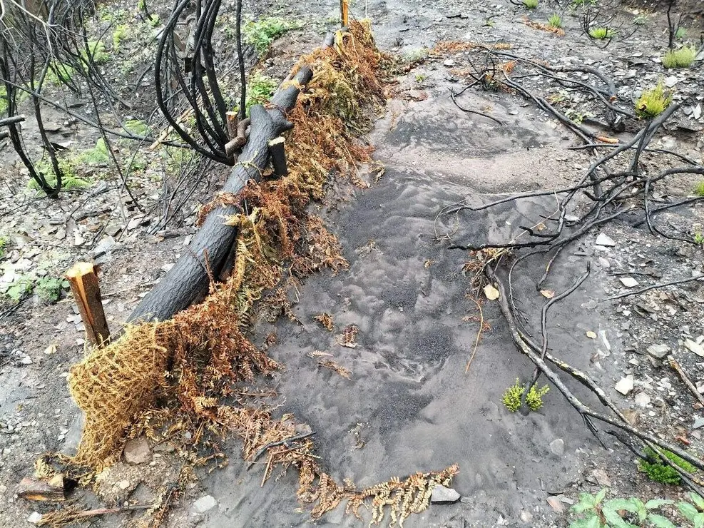 La Confederación Hidrográfica Miño-Sil (CHMS) avanza en los trabajos para paliar los efectos de los incendios de este verano en los diferentes ríos de la comarca del Bierzo, donde se está dando prioridad a los cauces fluviales estratégicos, próximos a captaciones, mediante técnicas de bioingeniería que ayudan a reducir los arrastres.