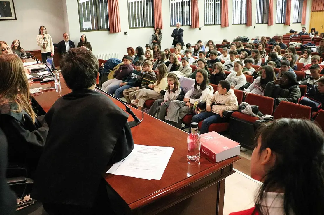 Simulación de juicio (1)