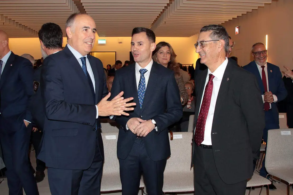 Día de la Constitución (5)