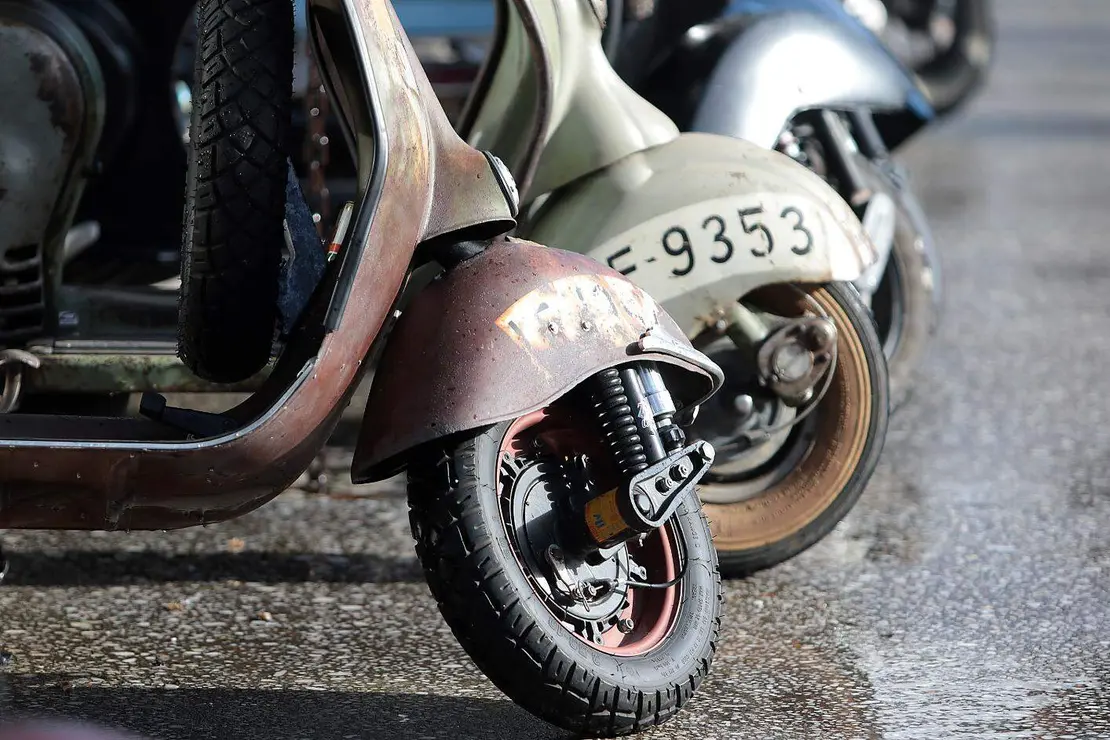 scooter run purple (5)