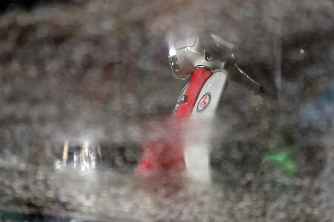 scooter run purple (6)