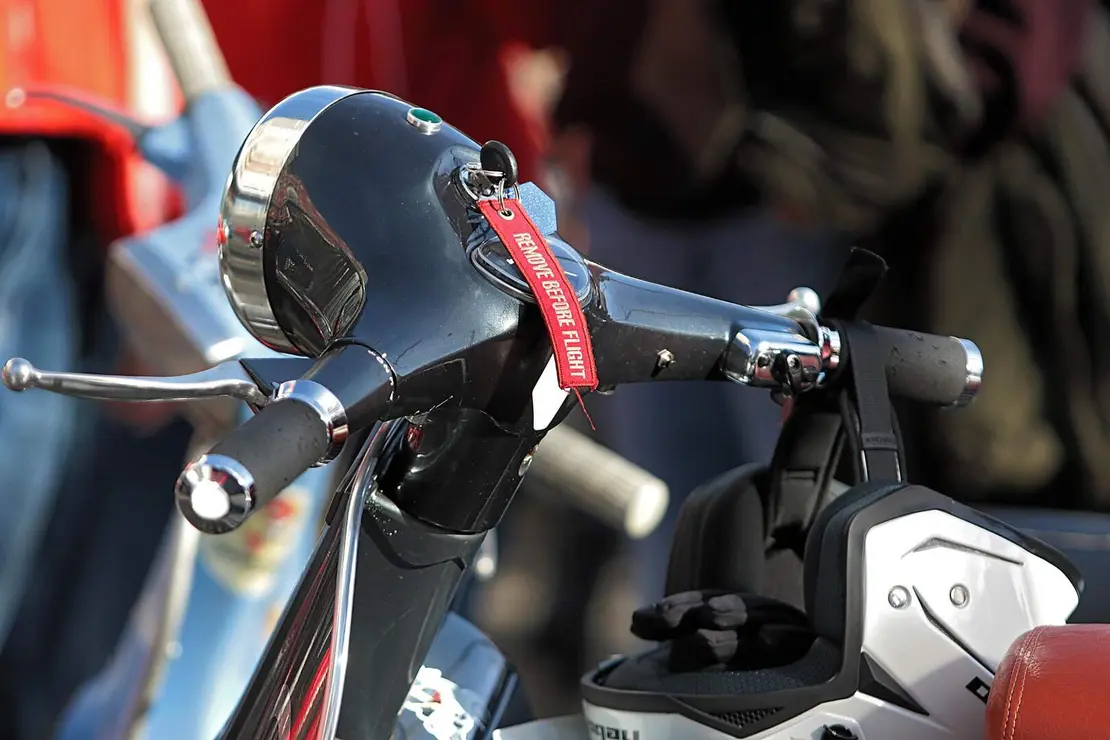 scooter run purple (10)