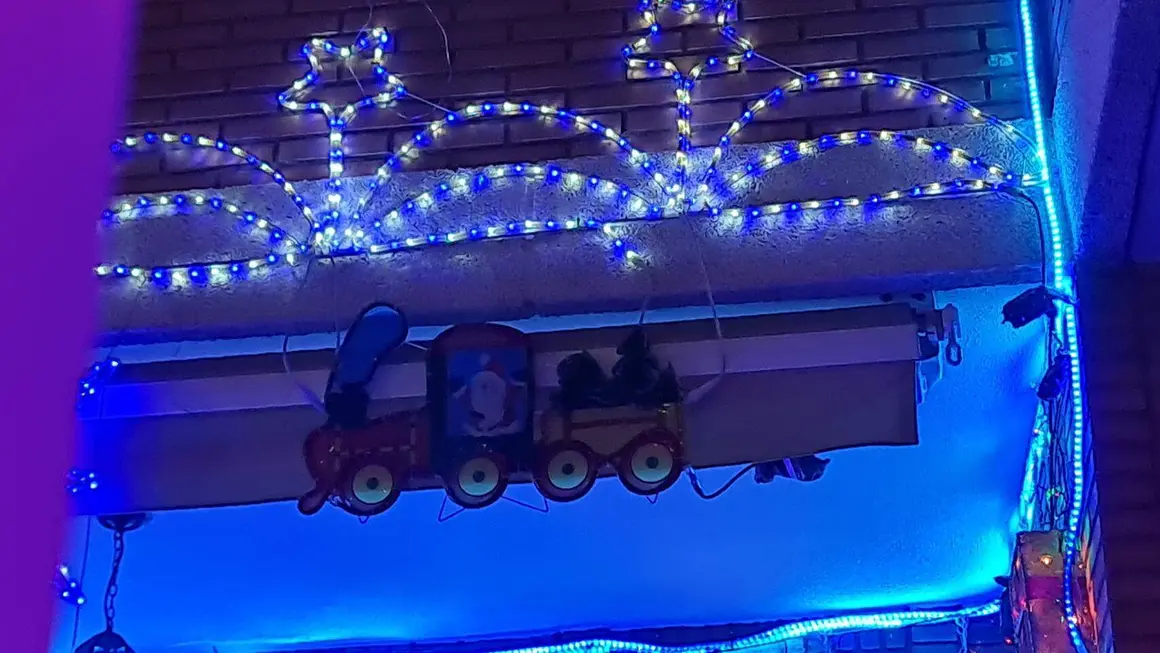 La casa de la Navidad (7)