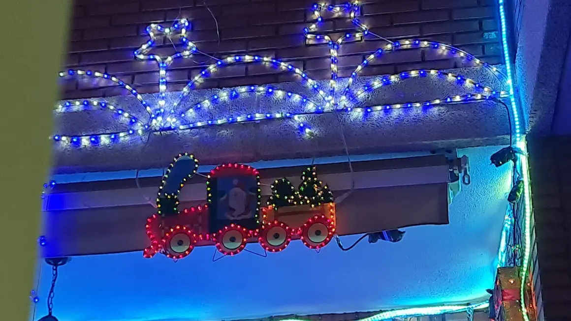 La casa de la Navidad (8)