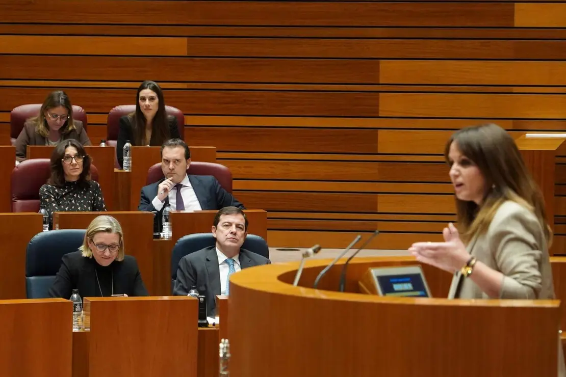 Pleno de las Cortes (5)