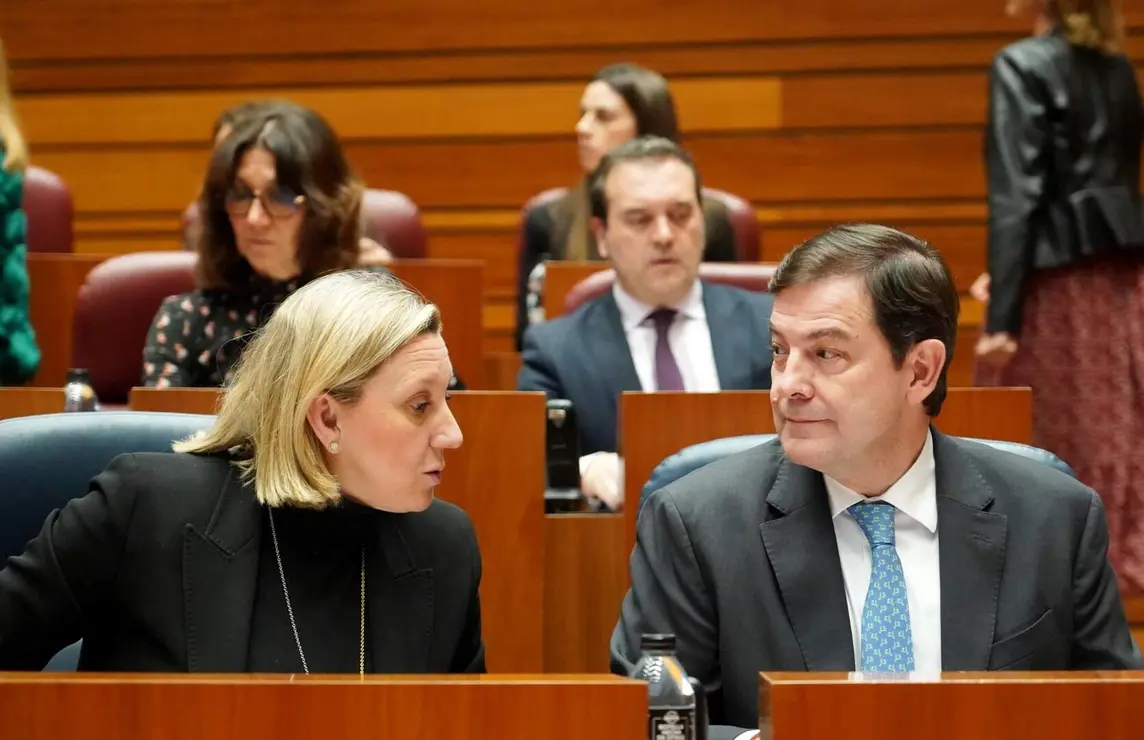 Pleno de las Cortes (10)