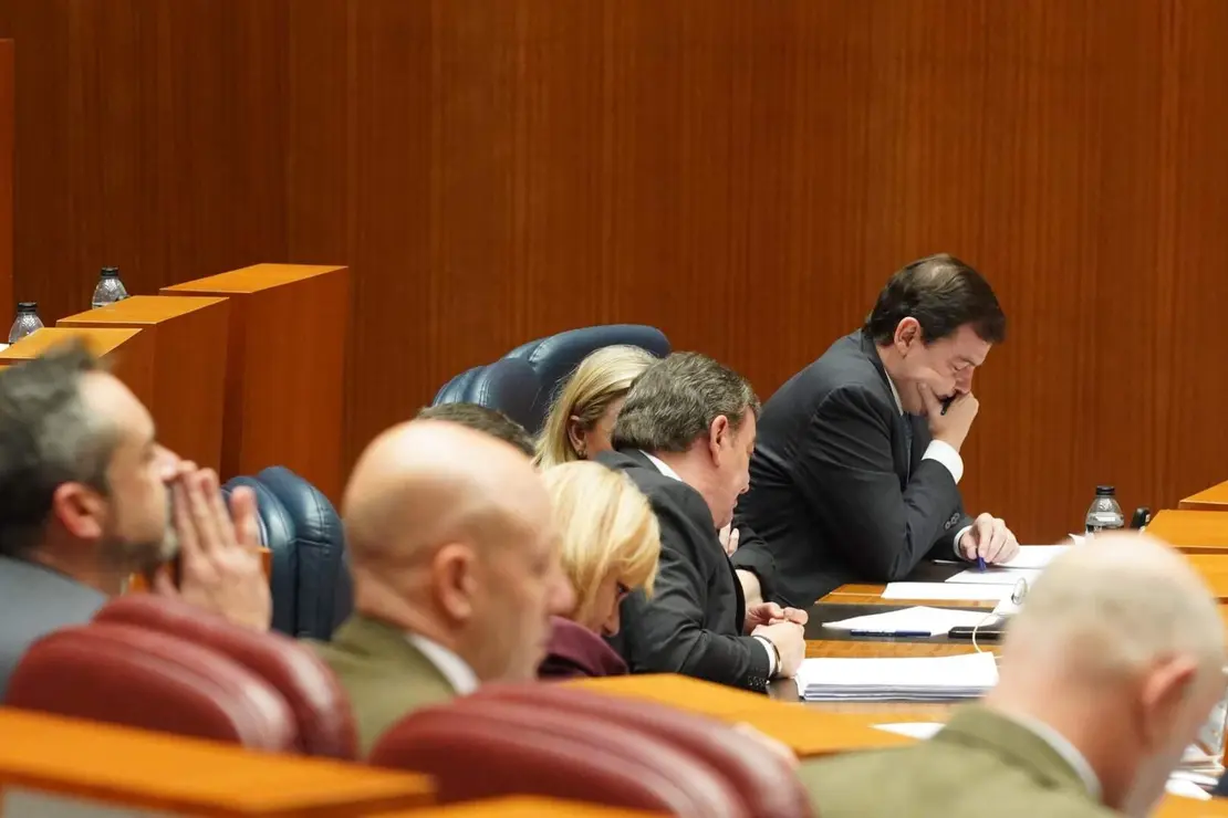 Pleno de las Cortes (11)