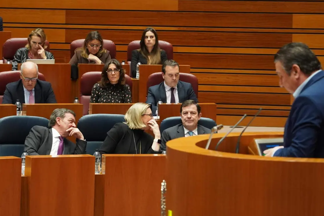 Pleno de las Cortes (12)