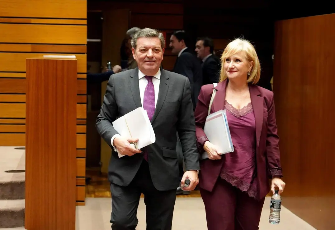 Pleno de las Cortes (13)