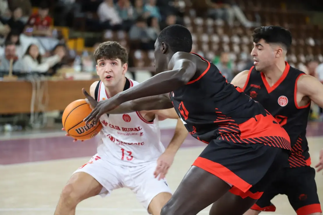 Cultural Baloncesto (1)