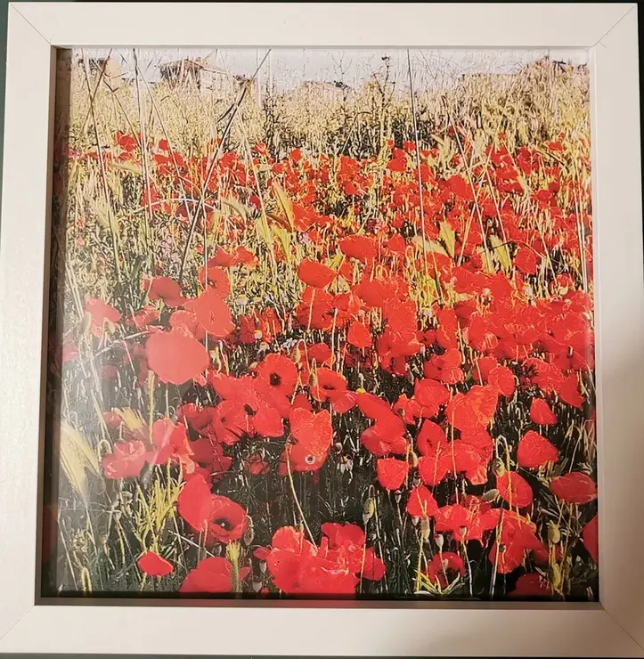 Fotografía de Ana Cristina Martínez