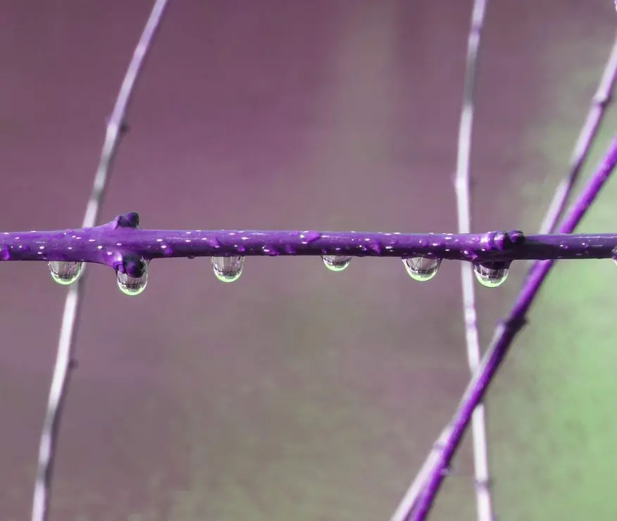 Fotografía de Marien del Canto