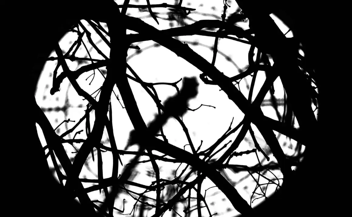 Obra de Héctor Sánchez.Fotografía digital de la cara oeste del reloj del Big Ben de Londres.