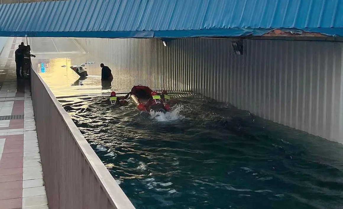 Rescate en San Andr&eacute;s del Rabanedo (4)