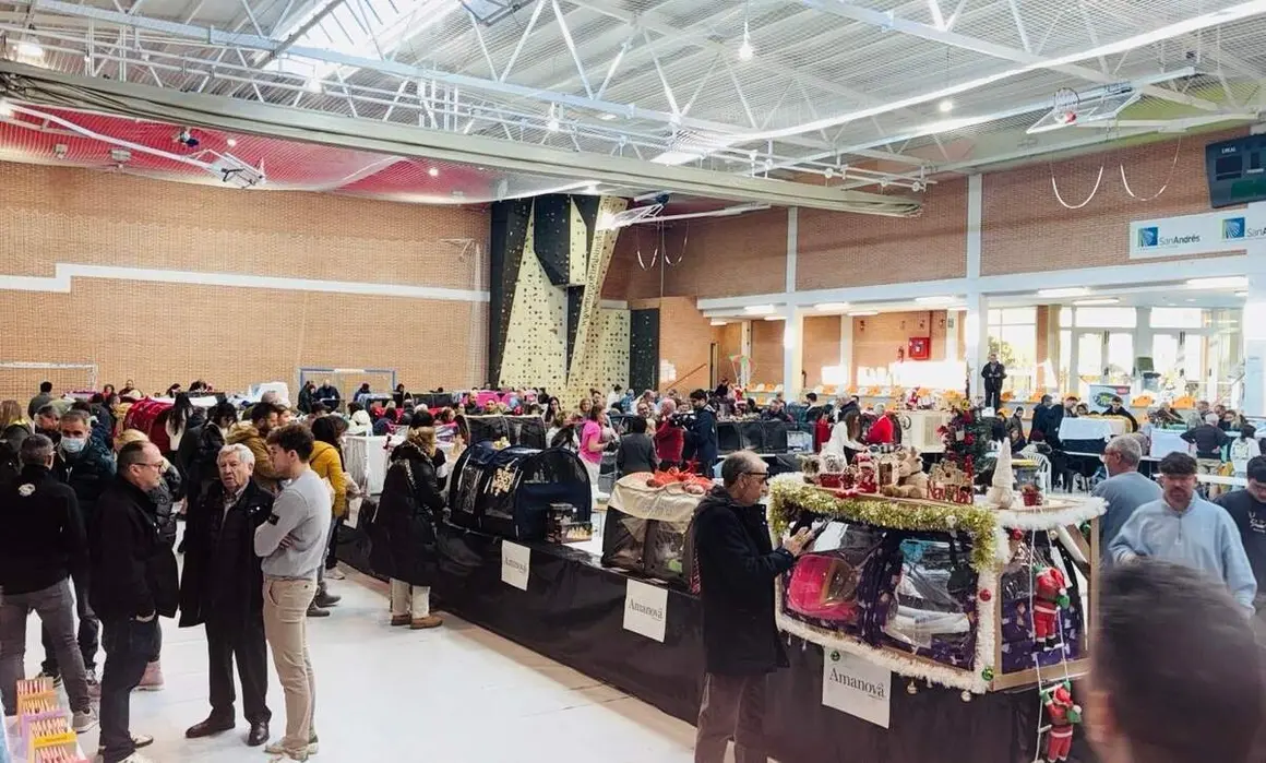 exposición internacional felina San Andrés del Rabanedo (4)