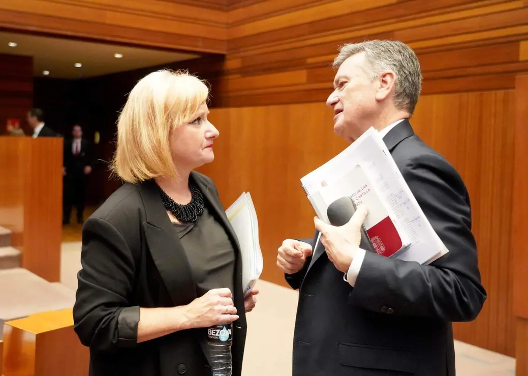 Pleno Cortes de Castilla y Le&oacute;n (8)