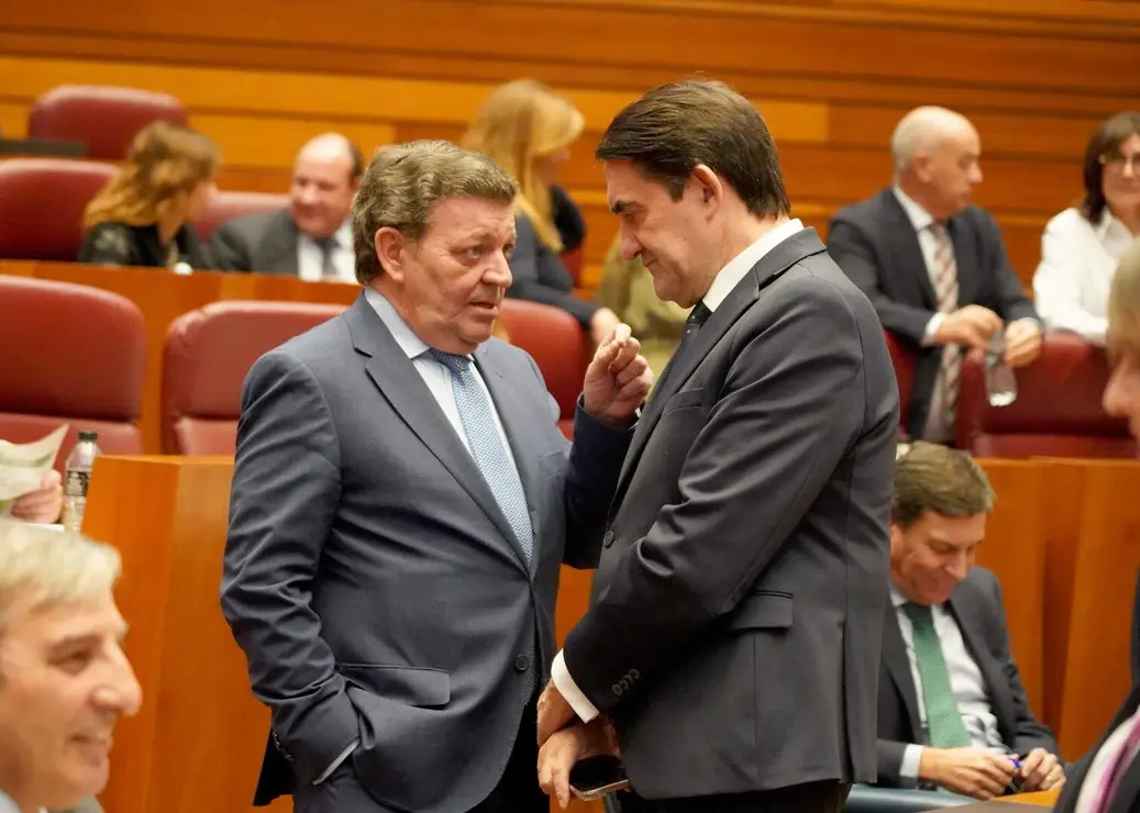 Pleno Cortes de Castilla y Le&oacute;n (9)