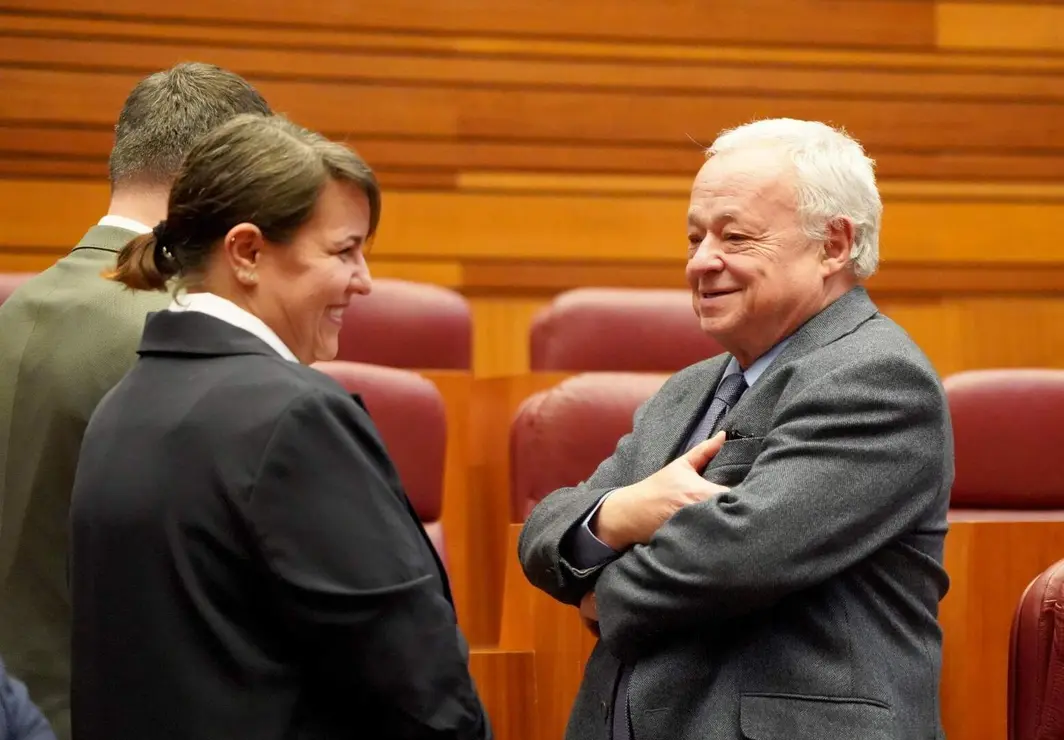Pleno Cortes de Castilla y Le&oacute;n (10)