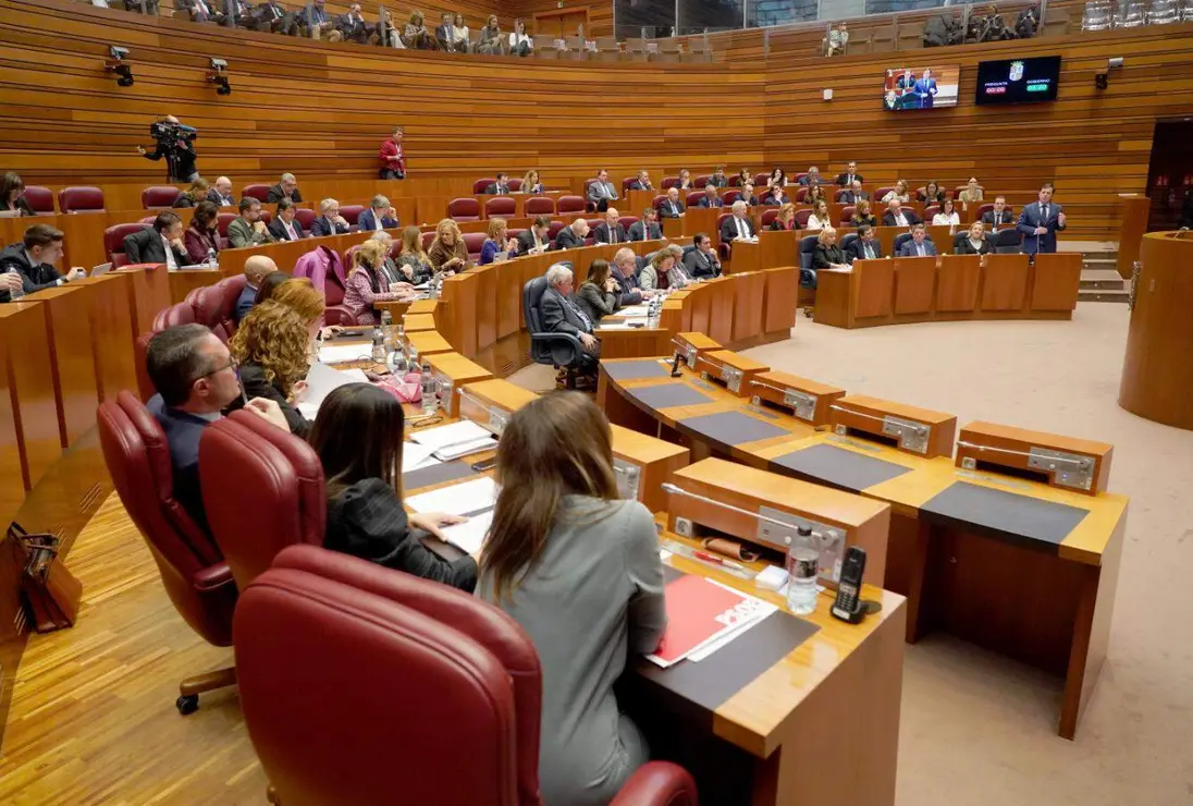 Pleno Cortes de Castilla y Le&oacute;n (12)