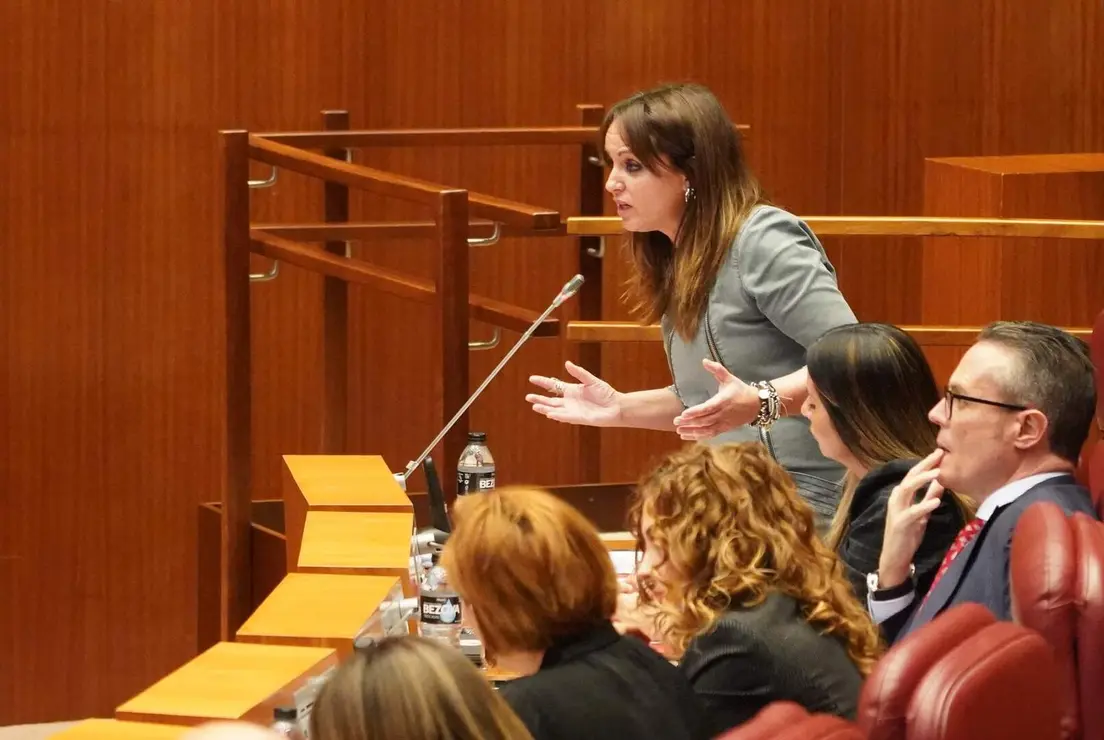 Pleno Cortes de Castilla y Le&oacute;n (13)