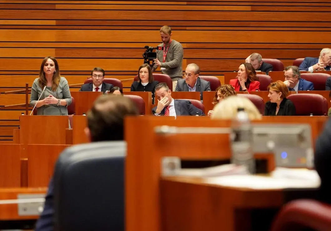 Pleno Cortes de Castilla y Le&oacute;n (14)