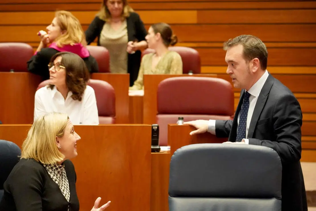 Pleno Cortes de Castilla y Le&oacute;n (15)