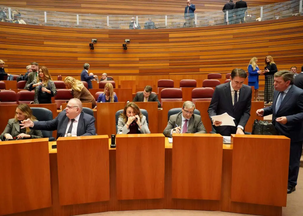 Pleno Cortes de Castilla y Le&oacute;n (17)