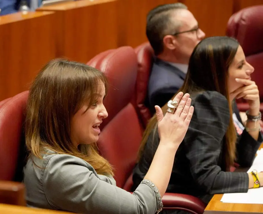 Pleno Cortes de Castilla y Le&oacute;n (26)