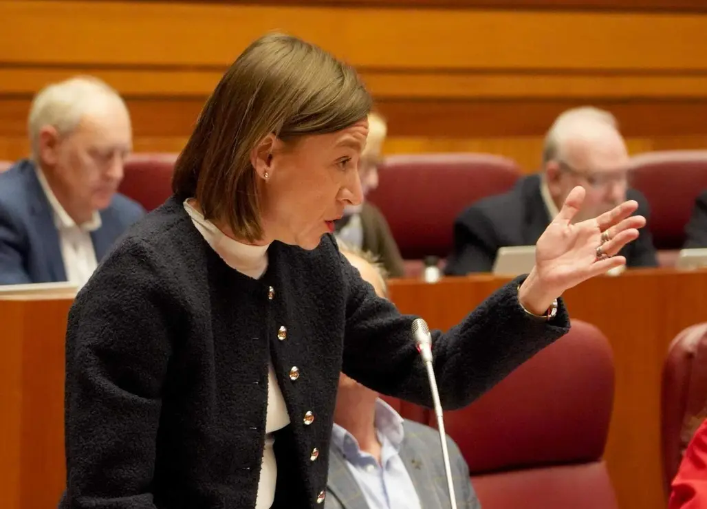 Pleno Cortes de Castilla y Le&oacute;n (27)