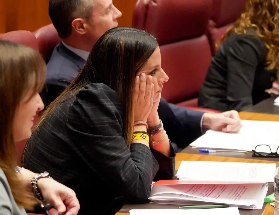 Pleno Cortes de Castilla y Le&oacute;n (28)