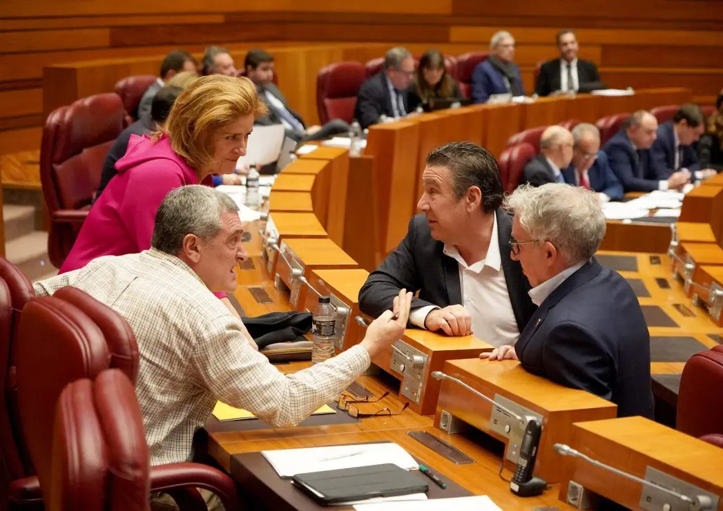 Pleno Cortes de Castilla y Le&oacute;n (29)