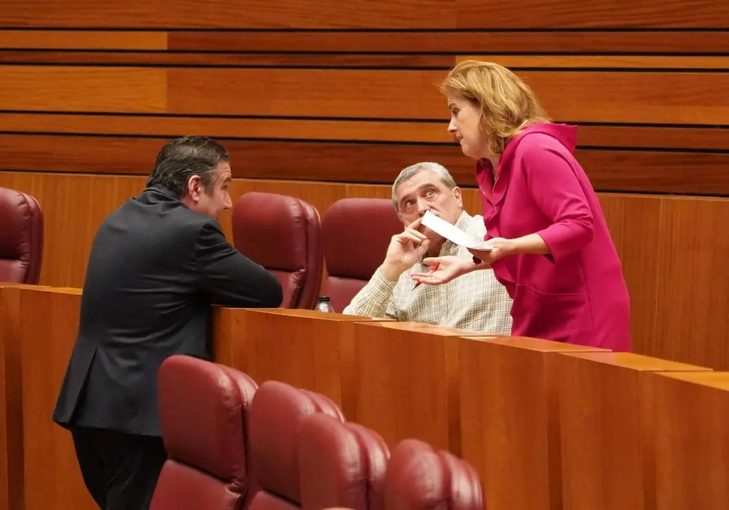 Pleno Cortes de Castilla y Le&oacute;n (30)