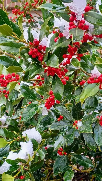 cece19e8-6189-488b-a3b1-c29268b6f077