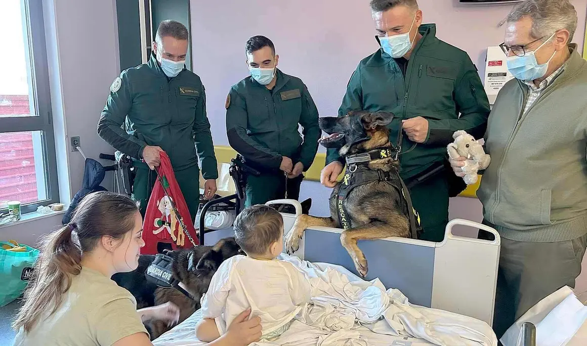 Perros Guardia Civil Hospital de Le&oacute;n (1)