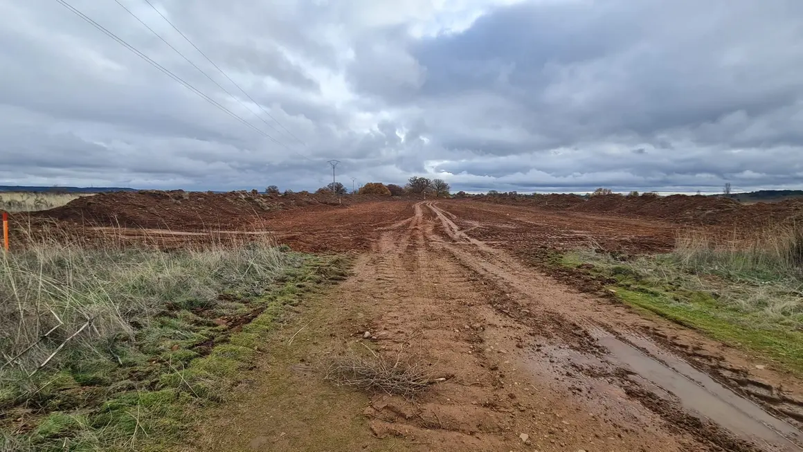 Obras ampliaci&oacute;n parque tecnologico (8)