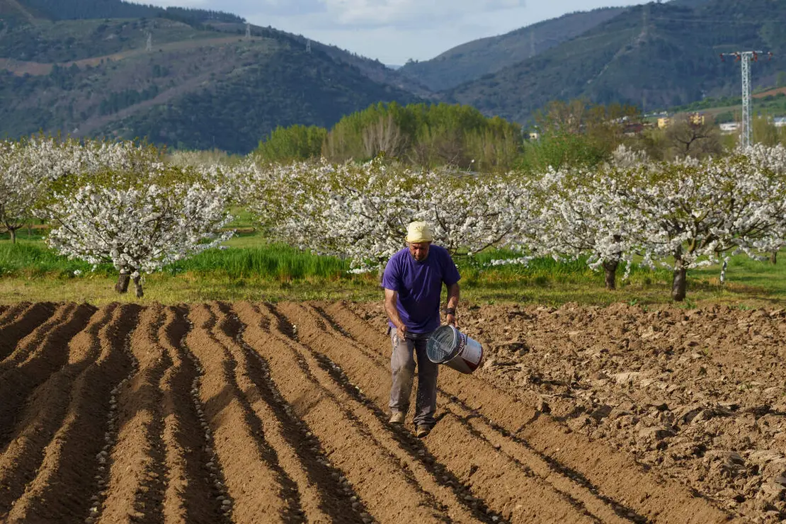 Frutales en El Bierzo
