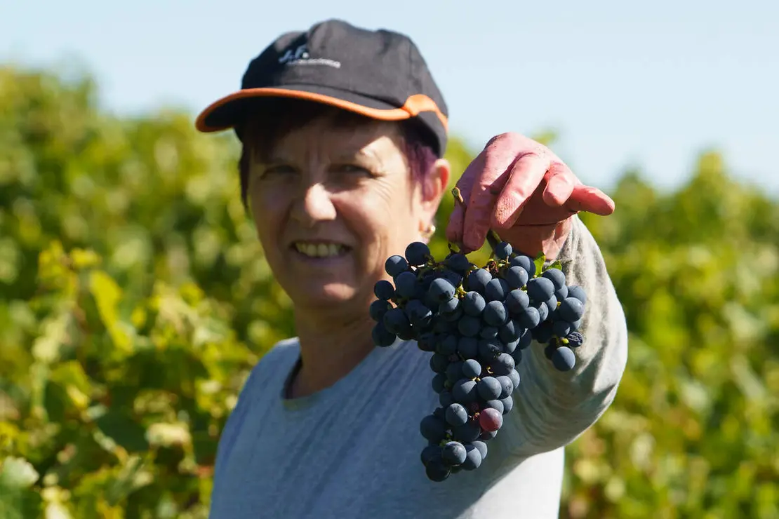 Frutales en El Bierzo
