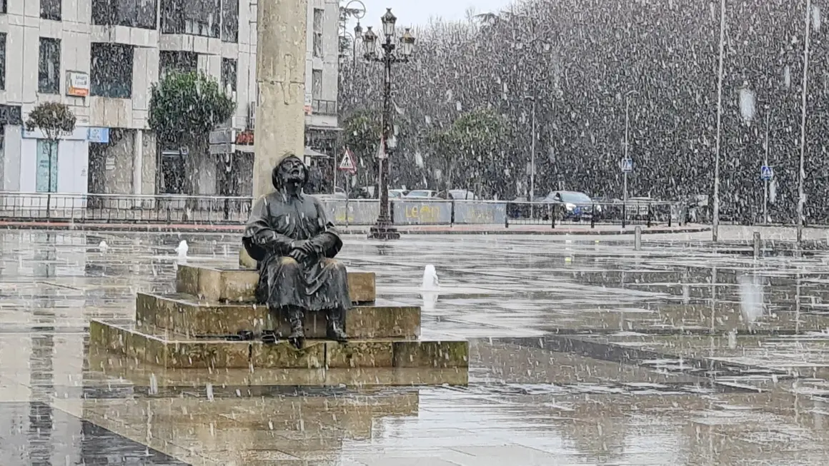 314fa894-23b6-4f4f-9968-b9d1ea186cae