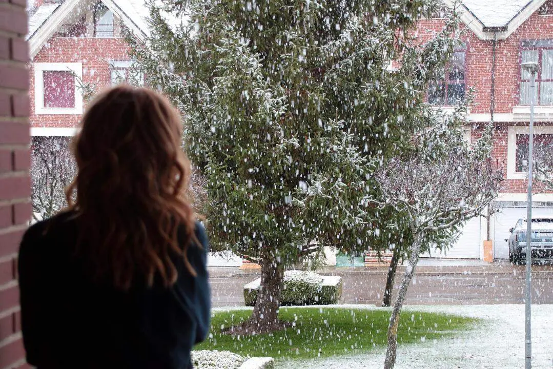 nieve le&oacute;n (1)