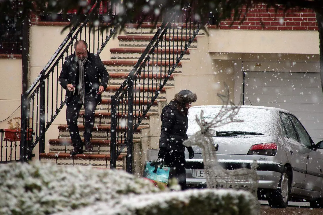 nieve le&oacute;n (3)