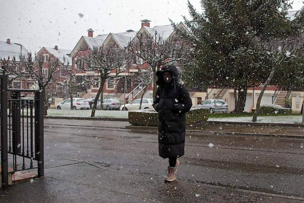 nieve le&oacute;n (5)