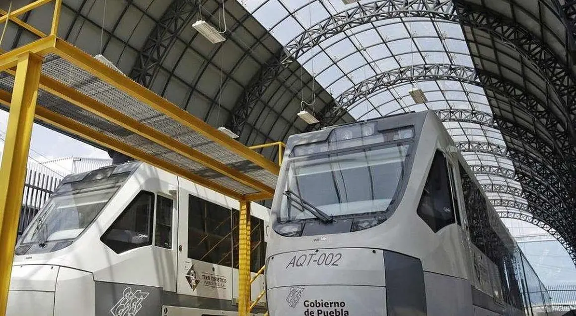 Ternes Feve Mexico (1)