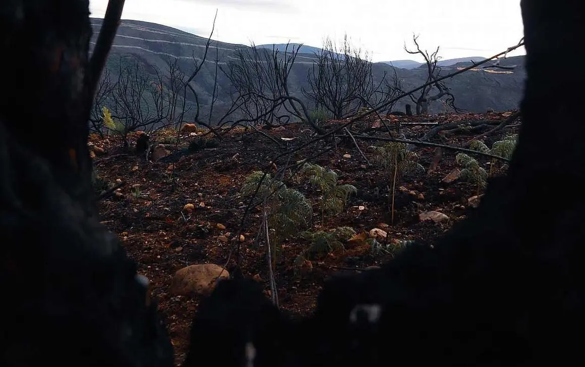 ule_03_a_traves_de_las_cenizas_jose_manuel_azabal