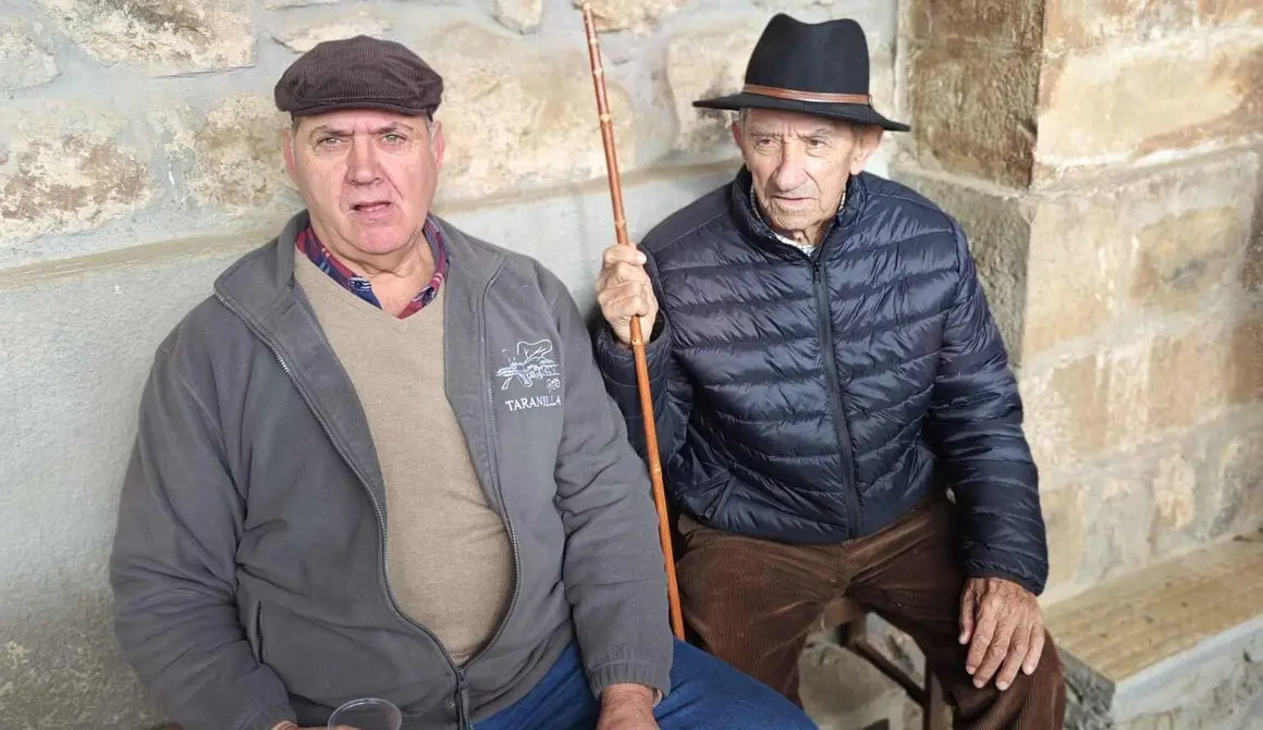 patos de taranilla (10)