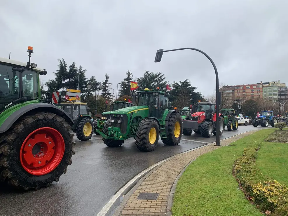 WhatsApp Image 2026-01-21 at 11.34.18 (24)