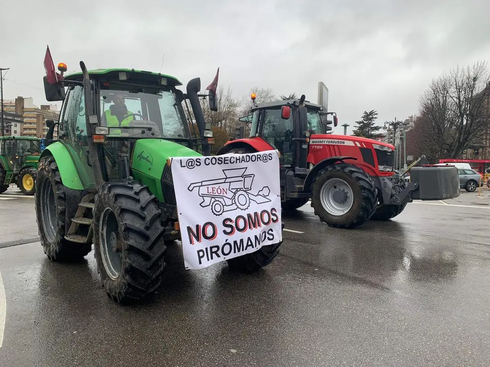 WhatsApp Image 2026-01-21 at 11.34.18 (21)