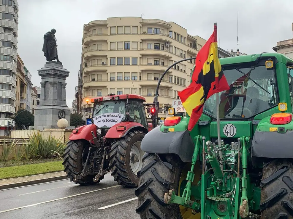 WhatsApp Image 2026-01-21 at 11.34.18 (19)