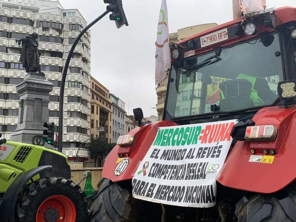 WhatsApp Image 2026-01-21 at 11.34.18 (17)